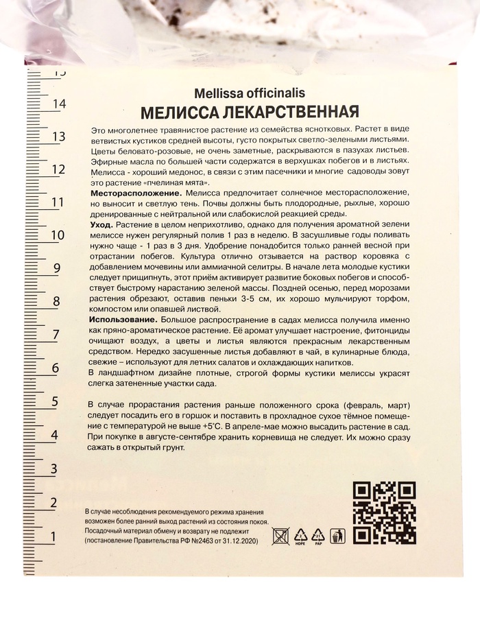 Луковица Мелисса лекарственная, р-р I, 1 шт.