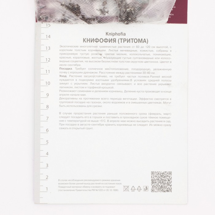 Книфофия гибридная Литтл Мейд, корневище в пакете с торфогрунтом, р-р I, 1 шт.