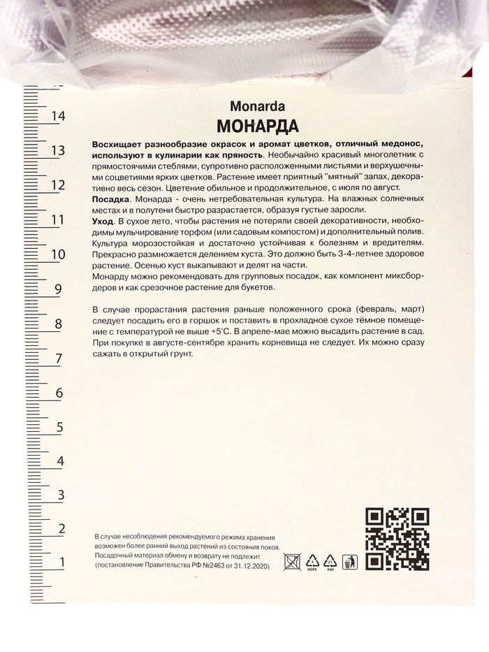 Луковица Монарда гибридная Шнеевитхен, р-р l, 1 шт.