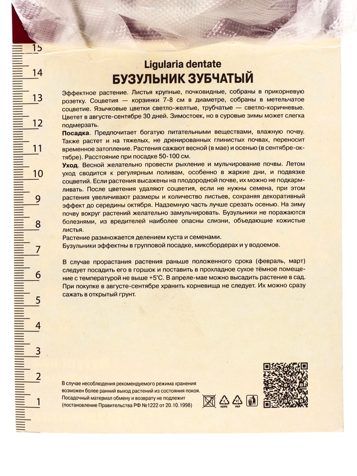 Бузульник зубчатый «Дездемона», корневище в торфогрунте, р-р I, 1 шт.