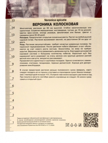 Вероника колосковая «Санни Бордэр Блу», корневище в пакете с торфогрунтом, р-р I, 1 шт.