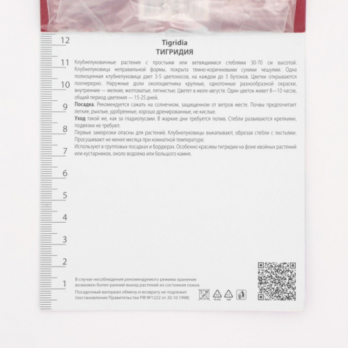 Луковица Тигридия павлинья Йеллоу, 10 шт., р-р 5/7