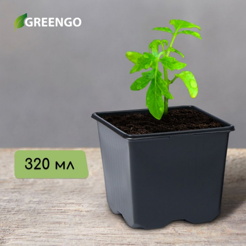 Горшок для рассады, 320 мл, 8×8×7 см, чёрный, Greengo