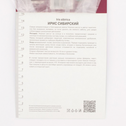 Ирис сибирский Блэк Джокер, корневище в пакете с торфогрунтом, р-р I, 1 шт.