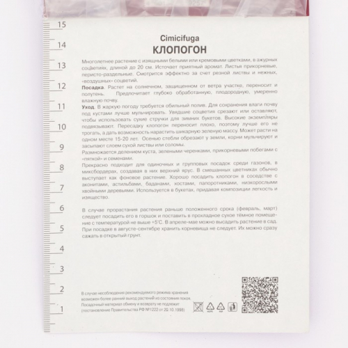 Клопогон простой Вайт Пёрл, р-р I, 1 шт.