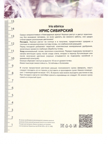 Корневище Ирис сибирский Анбаттонд Зипперз, р-р I, 1 шт.