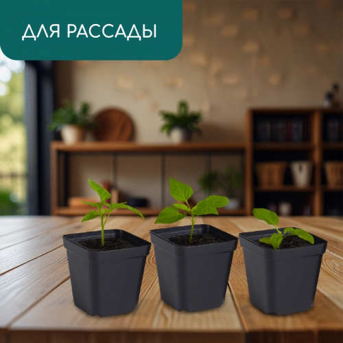 Горшок для рассады, 200 мл, 6.5×6.5×7 см, пластик, чёрный, Greengo