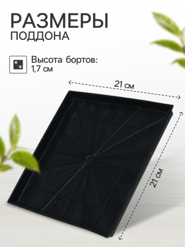 Поддон для рассады, 21×21×1.7 см, пластик, чёрный
