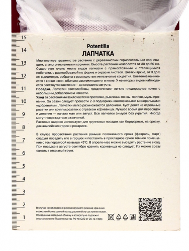 Лапчатка гибридная «Монарх Вельвет», корневище в торфогрунте, р-р I, 1 шт.