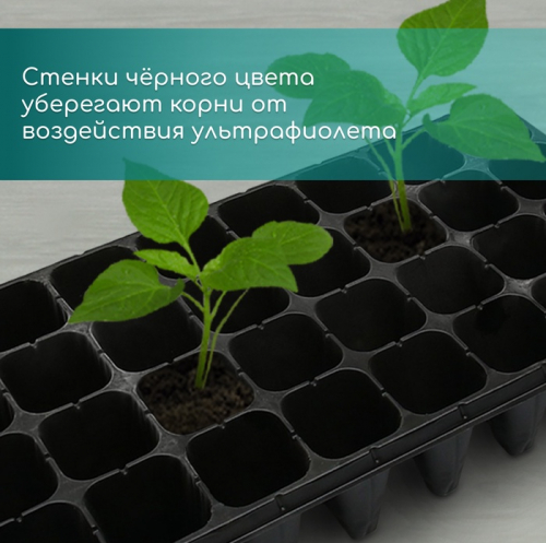 Кассета для рассады, 32 ячейки по 150 мл, пластик, чёрная, 51×28×10 см, Greengo
