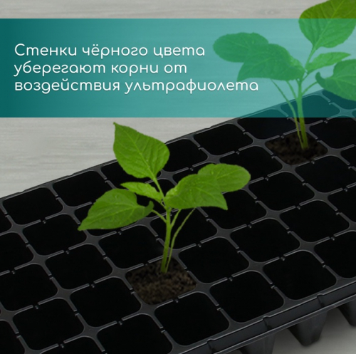 Кассета для рассады, 50 ячеек по 100 мл, пластик, чёрная, 54×27×8 см, Greengo
