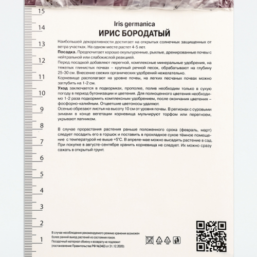 Корневище Ирис бородатый Бьянка, р-р I, 1 шт.