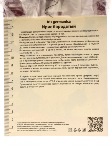 Корневище Ирис бородатый Черишд, р-р I, 1 шт.