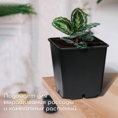 Горшок для рассады, 11 л, 25×25×26 см, чёрный