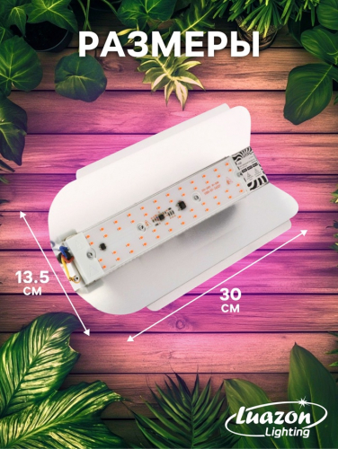 Фитопрожектор для растений Luazon Lighting СДО09-50, светодиодный, 50 Вт, IP65, 220 В, бескорпусный, мультиспектральный