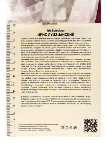 Ирис луизианский «Лаура Луис», корневище в пакете с торфогрунтом, р-р I, 1 шт.