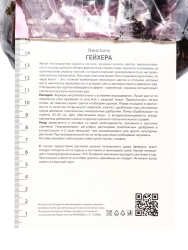Гейхера (Хеухера) гибридная Бьюти Колор, корневище в пакете с торфогрунтом, р-р I, 1 шт.