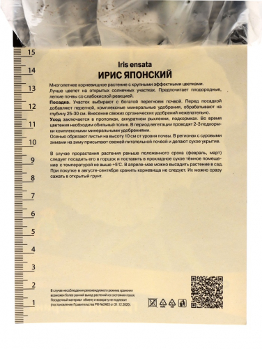 Корневище Ирис японский Грейвудс Катрина, р-р I, I шт.