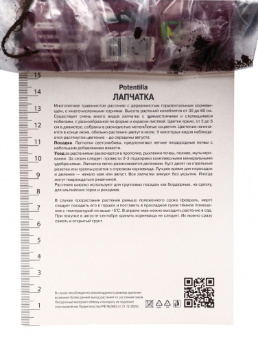 Лапчатка темно-кроваво-красная Гибсон Скарлет, р-р I, 1 шт, Осень 2025