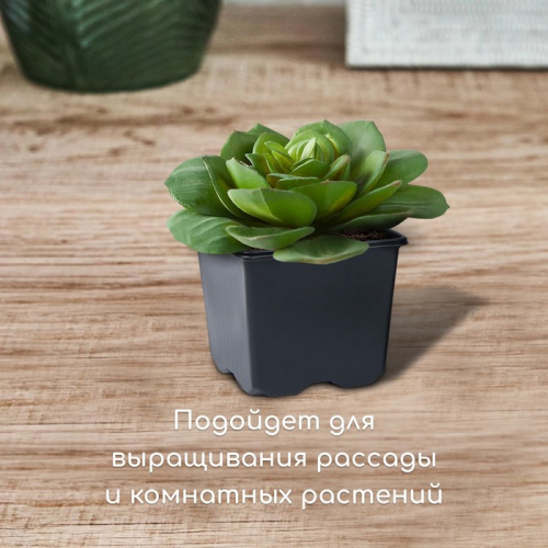 Горшок для рассады, 180 мл, 7×7×6.5 см, чёрный, Greengo