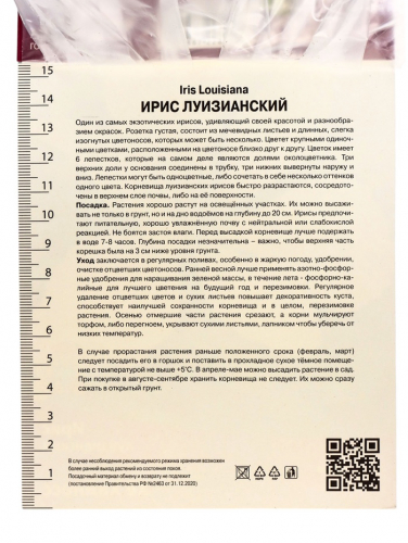 Корневище Ирис луизианский Хё Хайнесс, р-р I, 1 шт.