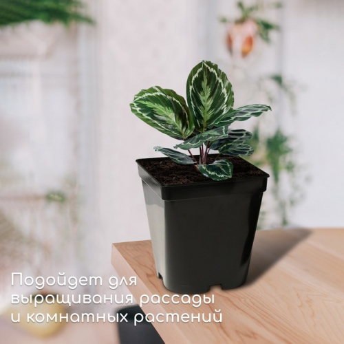 Горшок для рассады, 5 л, 18.5×18.5×20 см, пластик, МИКС, Greengo