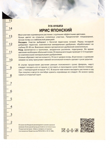 Корневище Ирис японский Персефон, р-р I, I шт.