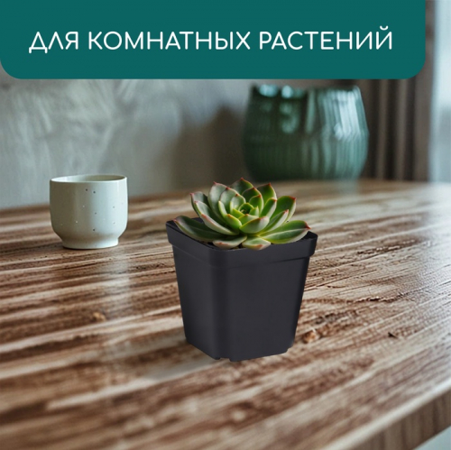 Горшок для рассады, 200 мл, 6.5×6.5×7 см, пластик, чёрный, Greengo