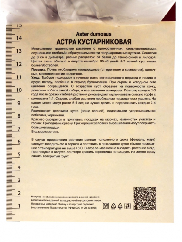 Астра кустарниковая «Элис Хэслем», корневище в торфогрунте, р-р I, 1 шт.