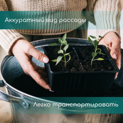 Кассета для выращивания рассады Greengo на 21 ячейку, по 200 мл, из пластика, 54×28×10 см