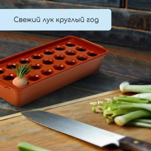 Ящик для выращивания зелёного лука, 40 × 19 × 10 см, 21 лунка, пластик, красный