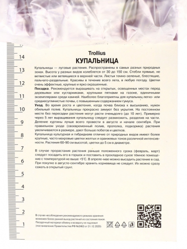 Купальница гибридная Чеддар, р-р I, 1 шт.