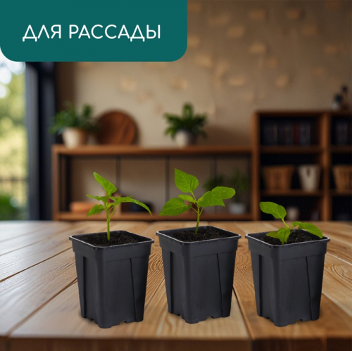 Горшок для рассады, 250 мл, 6.7×6.7×8 см, пластик, чёрный, Greengo
