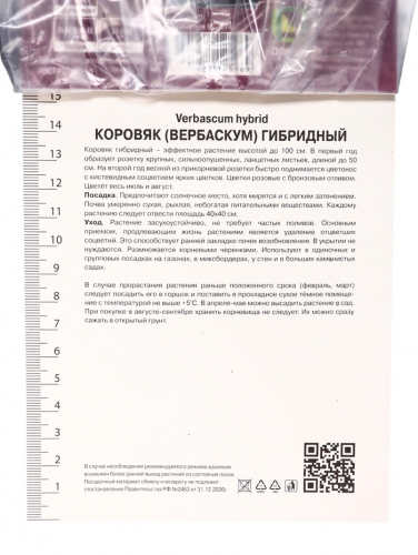 Коровяк (Вербаскум) гибридный «Пинк Домино», корневище в пакете с торфогрунтом, р-р I, 1 шт.