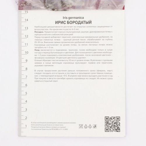Ирис бородатый Хэллоуин Хало, р-р I, 1 шт, Осень 2025