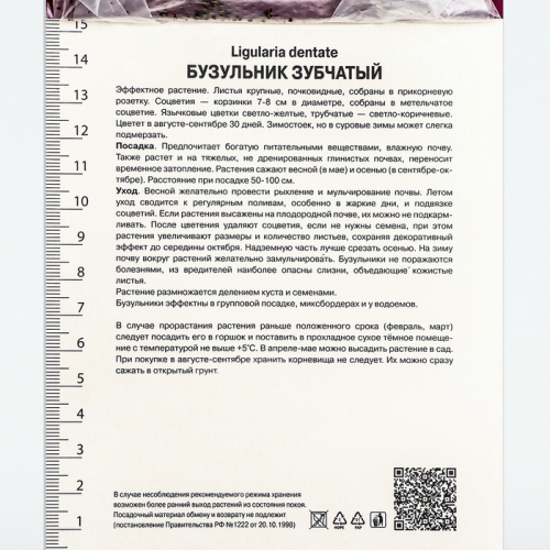Бузульник зубчатый «Дездемона», корневище в торфогрунте, р-р I, 1 шт.