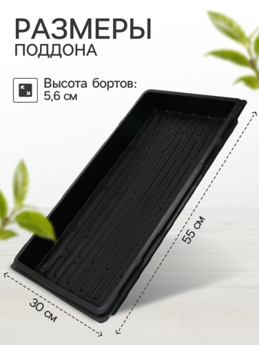 Поддон для рассады, 55×30×5.6 см, пластик, чёрный, Greengo