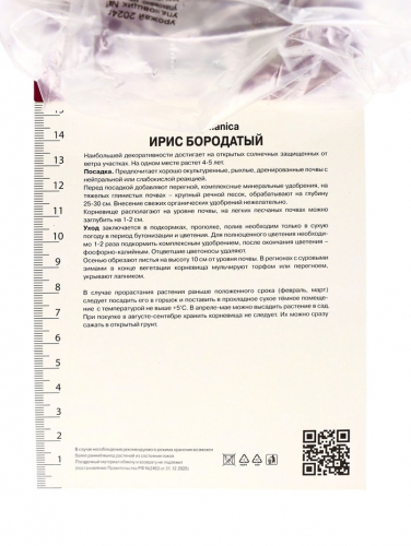 Корневище Ирис бородатый Блуберд Вайн, р-р I, 1 шт.