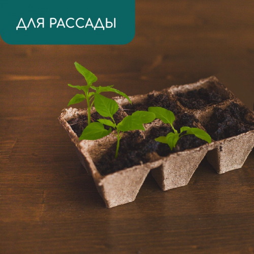 Кассета для рассады, 28×20×9 см, 6 ячеек по 400 мл, 8×8 см, торф, набор 3 шт., «Умный огород»