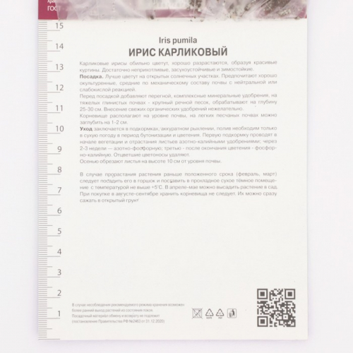 Ирис карликовый Бенбери Раффлс, р-р I, 1 шт, Осень 2025