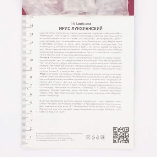 Ирис луизианский Блэк Геймкок, р-р I, 1 шт, Осень 2025