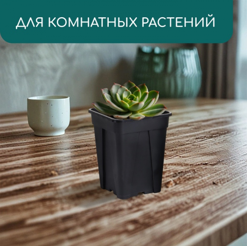 Горшок для рассады, 250 мл, 6.7×6.7×8 см, пластик, чёрный, Greengo