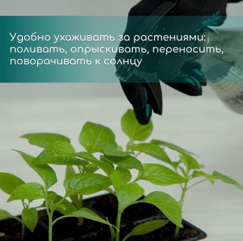 Кассета для выращивания рассады Greengo на 21 ячейку, по 200 мл, из пластика, 54×28×10 см