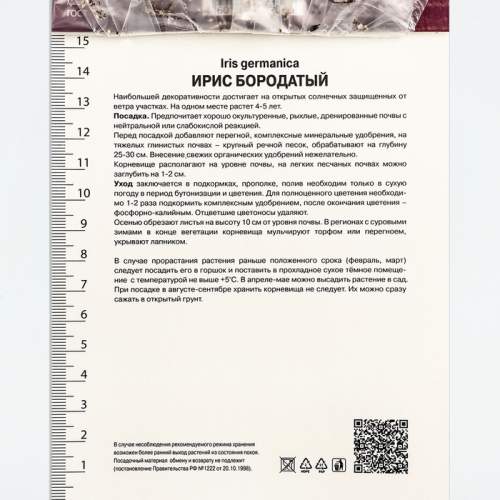 Ирис бородатый Суперстишн, р-р I, 1 шт, Осень 2025