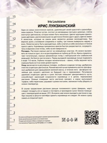 Ирис луизианский Колорифик, р-р I, 1 шт, Осень 2025