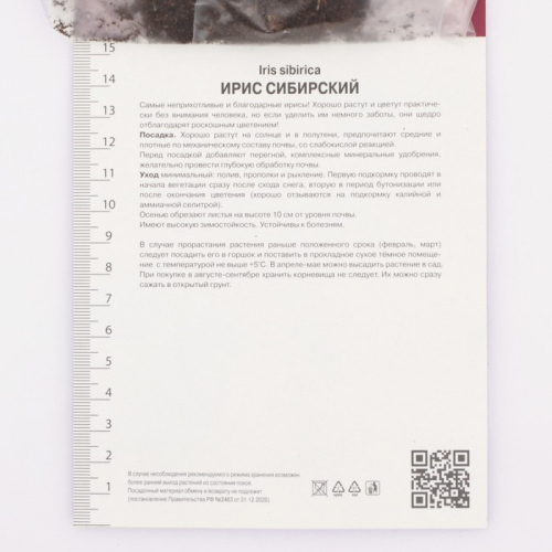 Ирис сибирский Лайт ов Харт, р-р I, 1 шт, Осень 2025