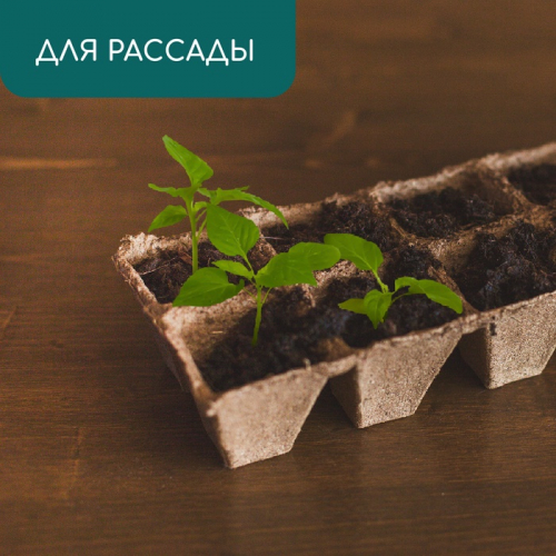 Кассета для рассады, 30×15×8 см, 8 ячеек по 150 мл, 6×6 см, торф, набор 3 шт.
