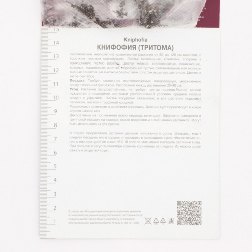 Книфофия гибридная Литтл Мейд, корневище в пакете с торфогрунтом, р-р I, 1 шт.