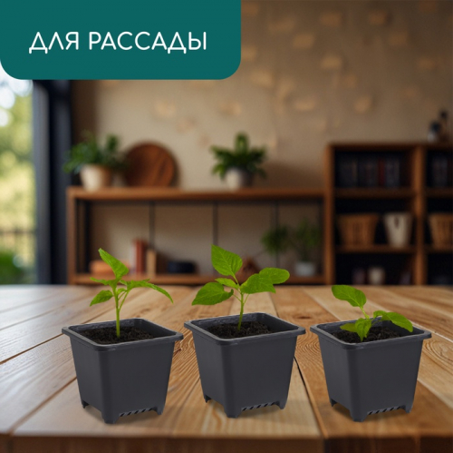Горшок для рассады, 250 мл, 9×9×8 см, пластик, чёрный, Greengo