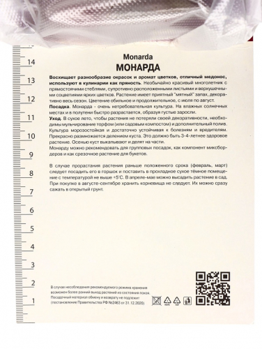 Луковица Монарда гибридная Шнеевитхен, р-р l, 1 шт.